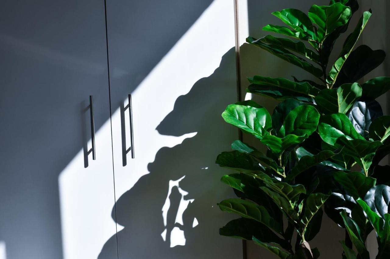 Hotel Celta Vigo Ngoại thất bức ảnh