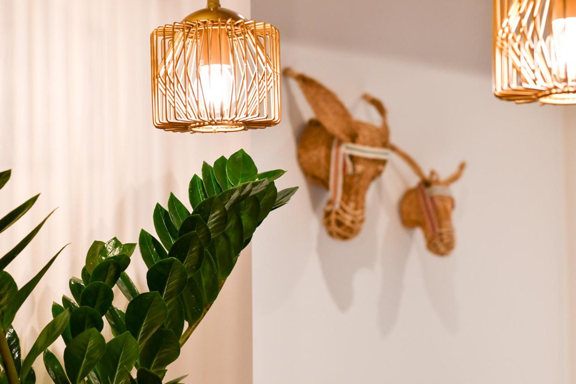 Hotel Celta Vigo Ngoại thất bức ảnh